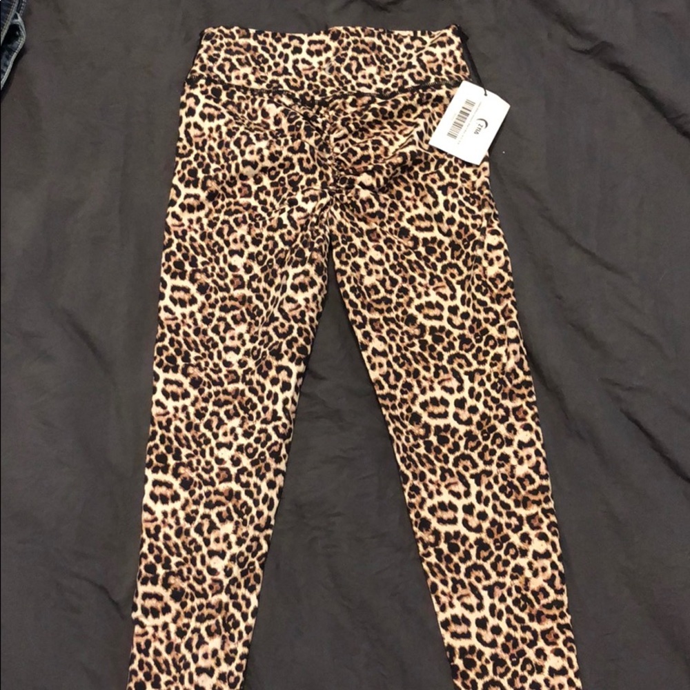 Zyia workout pants
